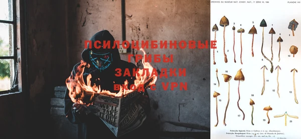 СК Алексин