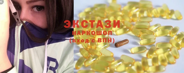 СК Алексин
