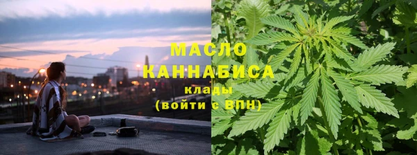 СК Алексин