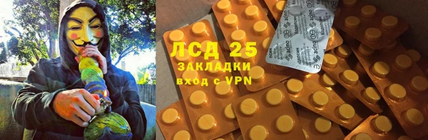 СК Алексин
