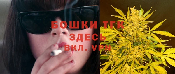СК Алексин