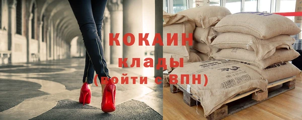 СК Алексин