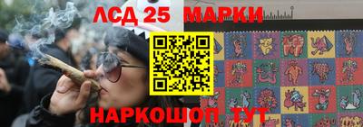 индика Комсомольск-на-Амуре