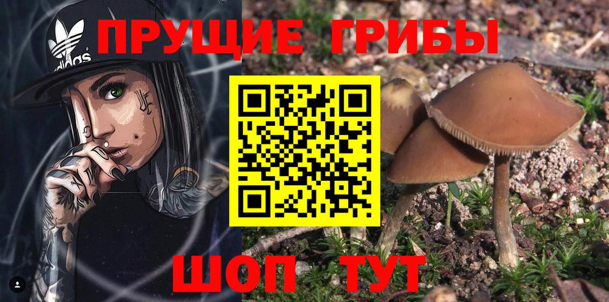 ГЕРОИН Кудрово