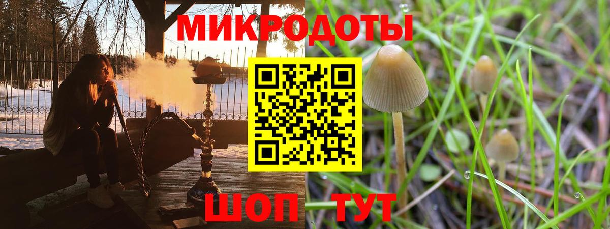 Кудрово  Псилоцибиновые грибы Psilocybine cubensis  Вход с VPN 